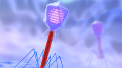 Concept of attack. Bacteriophage are viruses that infect bacteria.